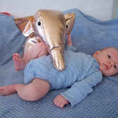 IMG 560
